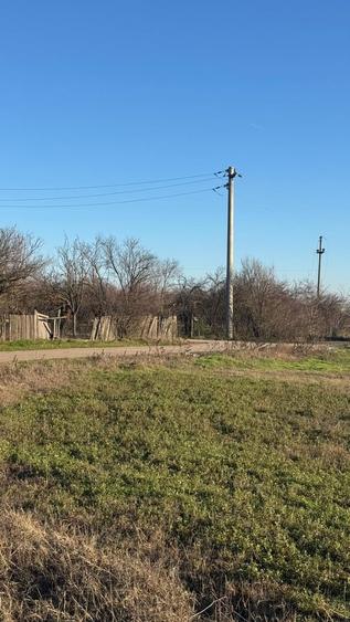 Parcul National Comana, Sat Vlad Tepes, Comuna Comana, jud.Giurgiu - 8