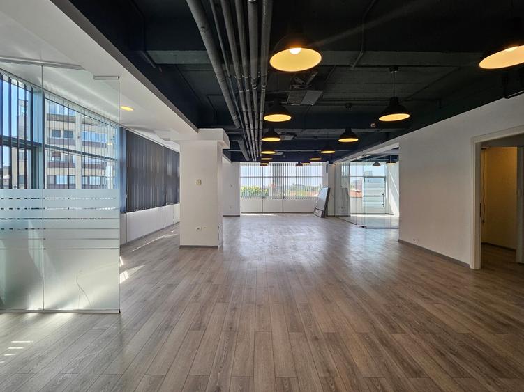 Spatiu Birou Cismigiu- Domus I - 4