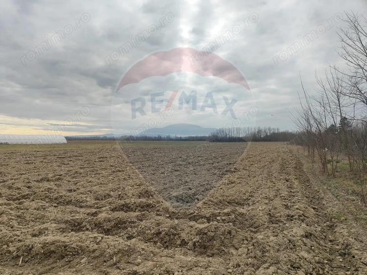 Teren intravilan Jena - 1