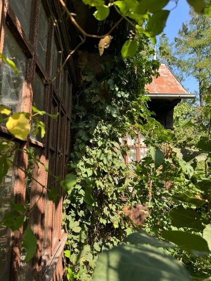 Casa cu istorie+teren 1600 mp Posesti Prahova - 12