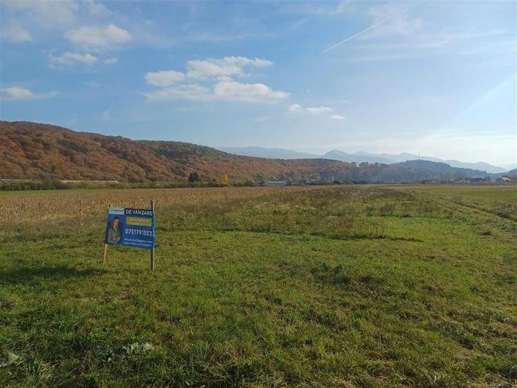 Teren Construcții intravilan de 10000 mp, în Exterior Sud