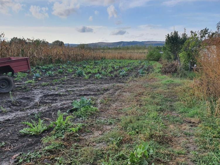 Oferta Teren 2.800 mp.26 euro mp.Sangeorgiu de Mures - 2