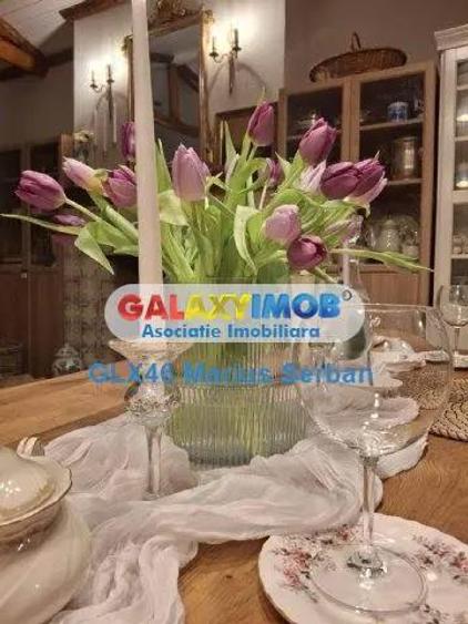 Vanzare casa de vacanta Varfuri Dambovita - 10