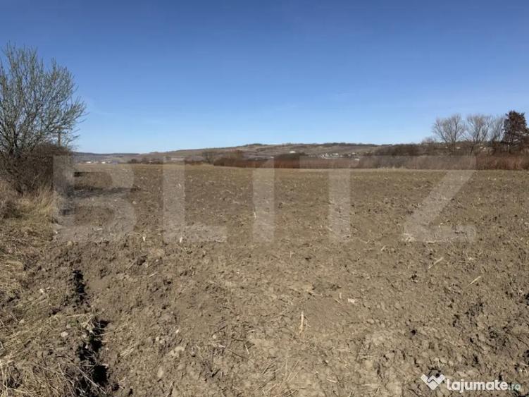 Teren extravilan in suprafata de 4000 mp in loc. Hereclean - 1