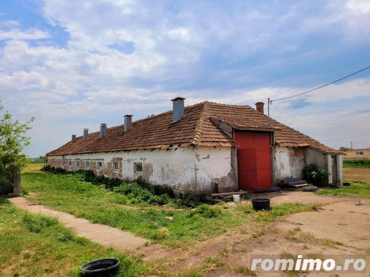 Domeniu, 9,5 ha, 25 KM de Timisoara - 19