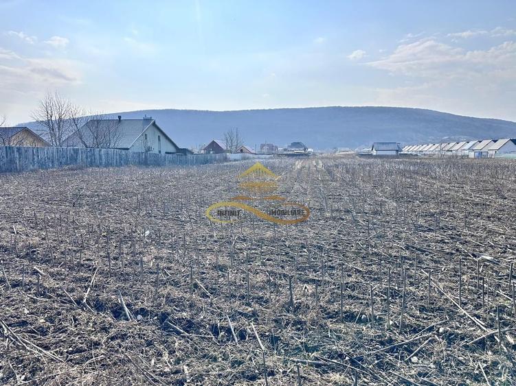 De vanzare teren intravilan Hemeius Bacau - 2