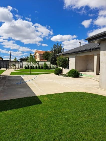 CASA CUMPANA LA ALB | TEREN 814 | BECI + PUT DE APA | - 4