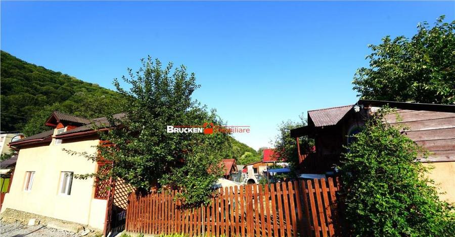 LOCUINTA TA DE VIS IN PADUREA NEAGRA - 13