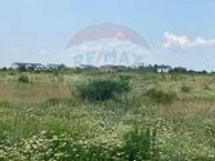 DE VANZARE Teren intravilan 600mp Drumul Piscul Mosului SISESTI - 15