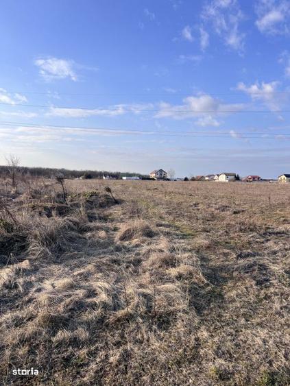 Teren intravilan-Utilitati-Rezid-Asfalt-Posib cumparare teren vecin - 1