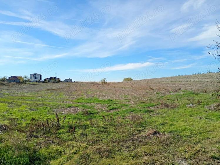 Teren 6.000 mp in Peri?, aproape de Bucure?ti ideal pentru locuin?a sau investi?ie - 9