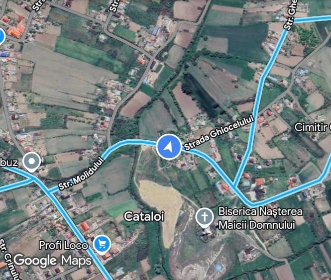 TEREN CATALOI 500mp3 (urgent!) - 2