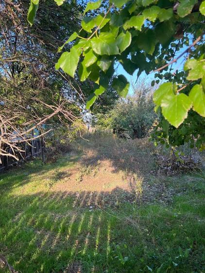 Galbinasi - jud. Calarasi, casa vanzare - 11