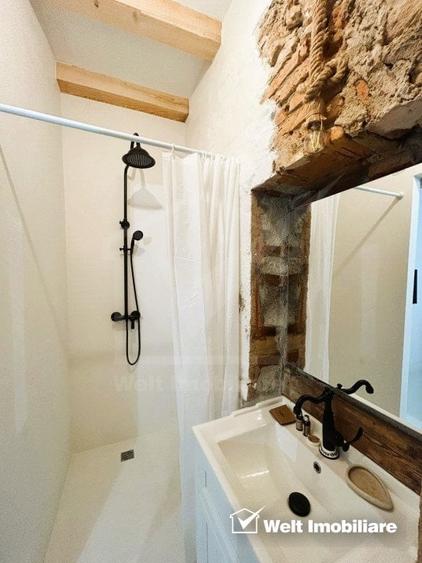 Oportunitate de business, zona ultracentrala, 8 camere - 12