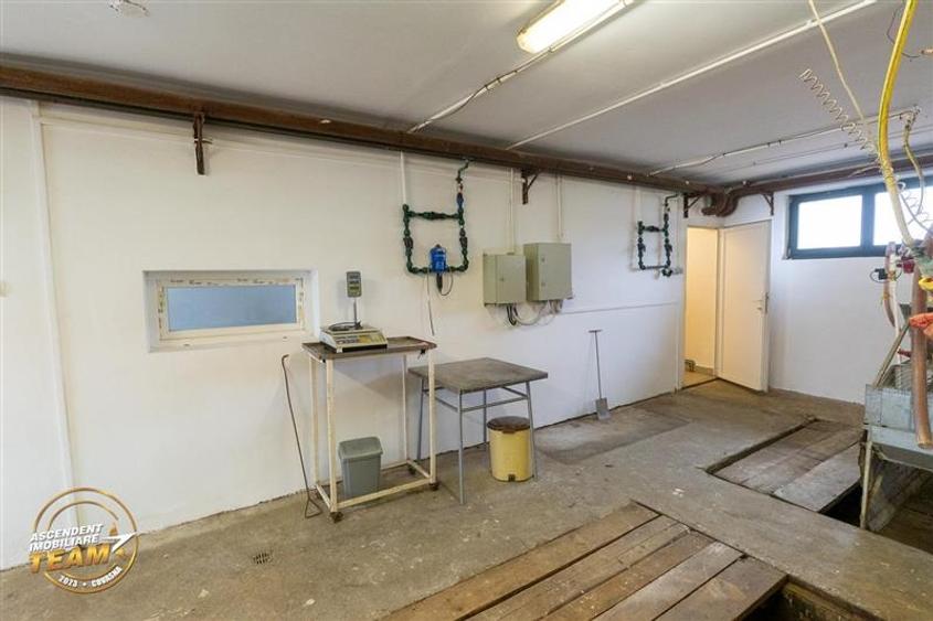 FILM! Ferma de iepuri,Malnas,Covasna: domeniu:industrial/comercial,asset UE - 28