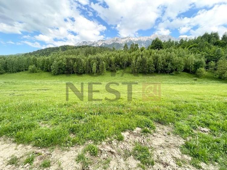 COMISION 0%! Teren superb la Plaiul Foii, pe malul Barsei - 4