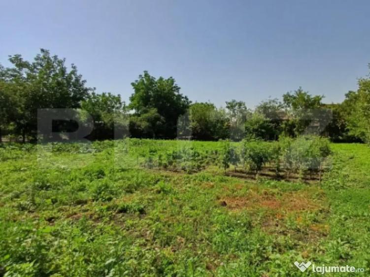 Casa 4 camere in Viisoara, langa Campia Turzii - 15