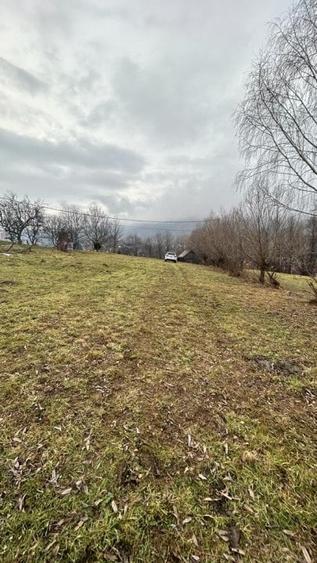 Teren Moieciu cu vedere catre Paitra Craiului - 5