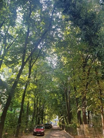 GORJULUI - Metrou vanzare apartament 2 camere - 14