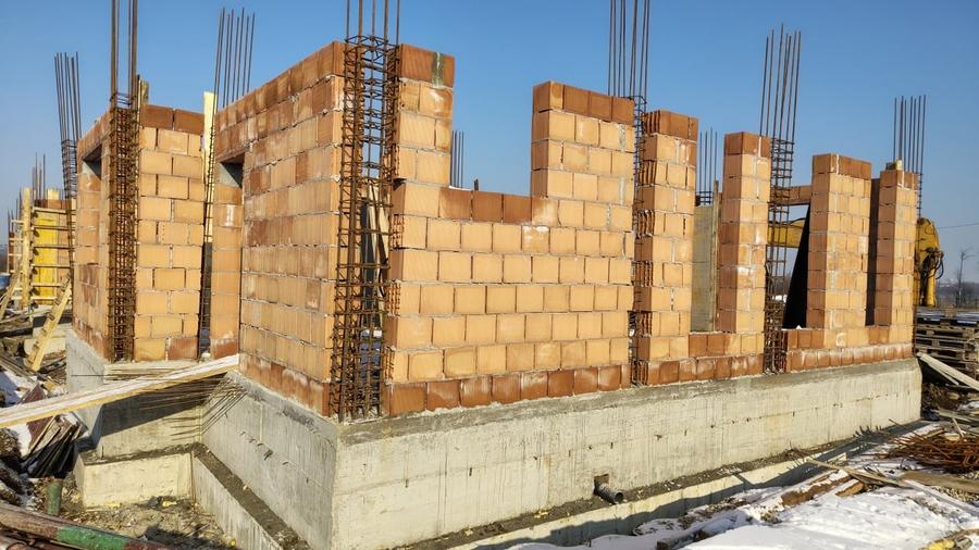 Vile individuale padurea Rosu - 6