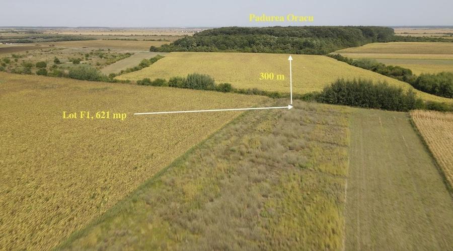 Teren cu vedere la Padure, rate 2-3 ani, 621mp, in zona Paradisul Verde - 1