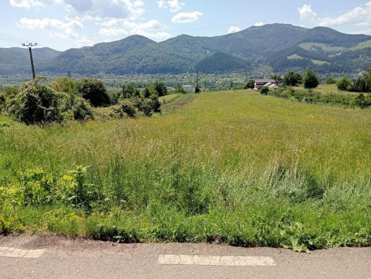 Pământ de vânzare: sat Viișoara, comuna Alexandru cel Bun (zona Gloduri drumul spre Bisericani) - 8