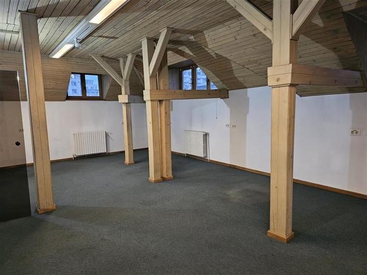 Vila interbelica renovata - de inchiriat pentru birouri - 15