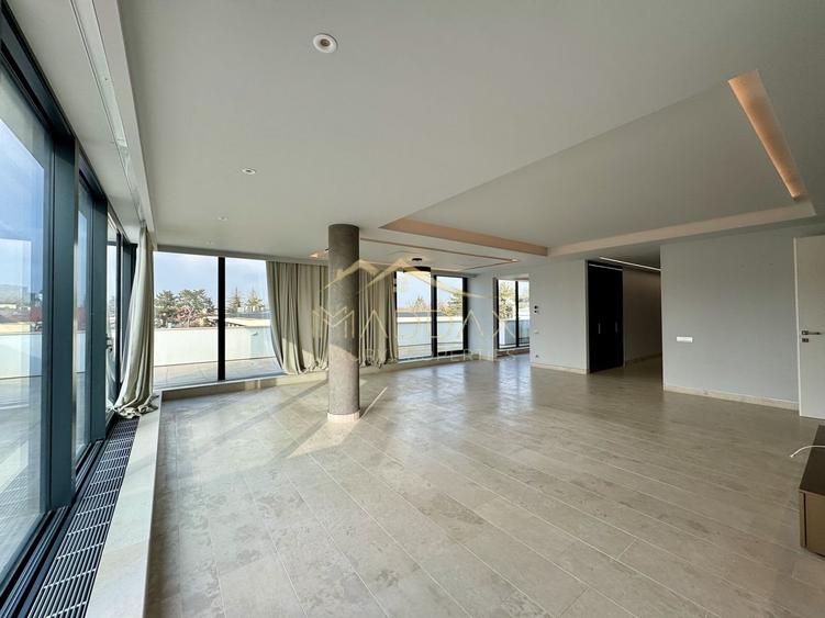 Resedinta de lux / * Kiseleff* - 1