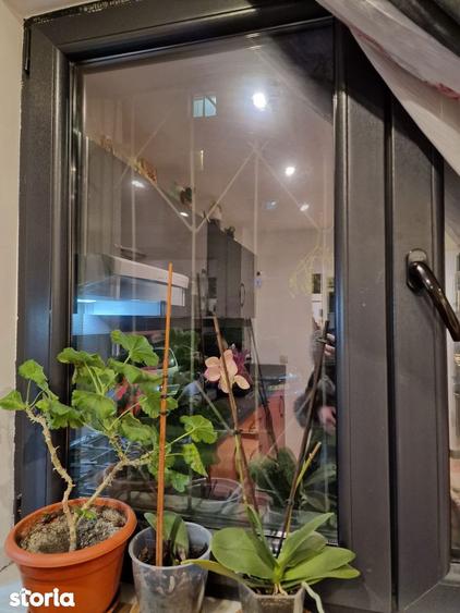 Apartament 2 camere ,Parter, langa Liceul Pedagogic - 11