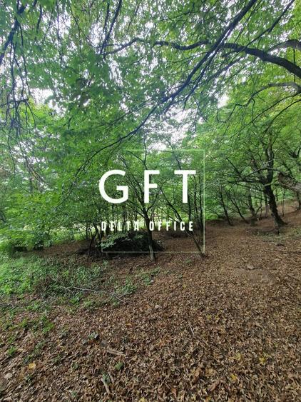 Teren Intravilan de vanzare Bistrita | 795 mp, priveli?te panoramica - 3