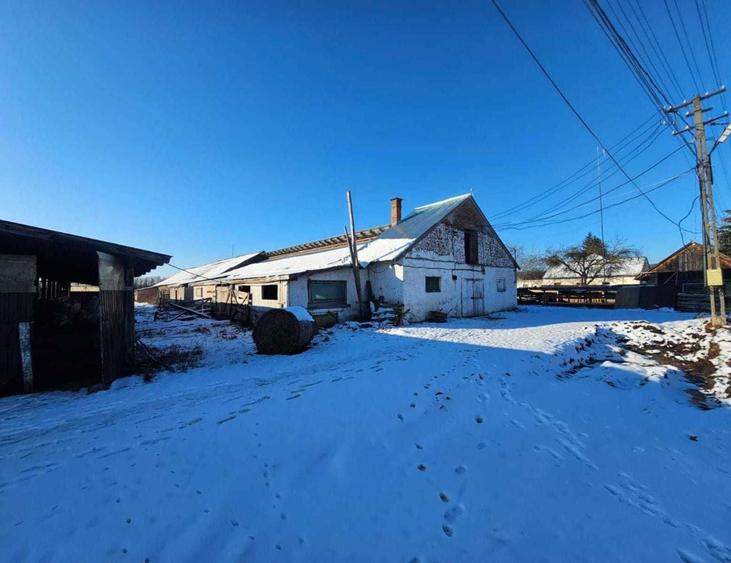 Teren intravilan, grajd - 1