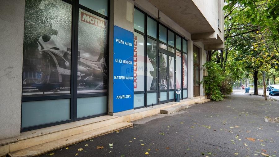 INVESTITIE - Vanzare vilă spatioasa cu S+P+2E+M, zona Doamna Ghica - 2