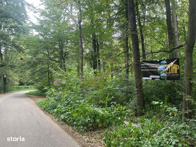 Teren de Vis pe malul lacului Snagov / 4000 mp in inima Naturii /40 m - 3