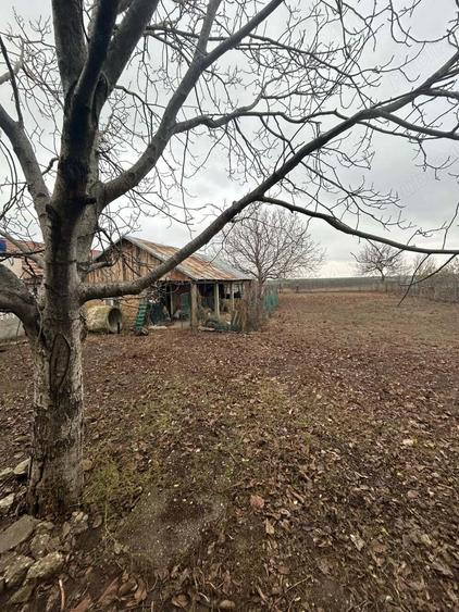 Casa de vanzare schimb Corabia , langa Dunare - 6