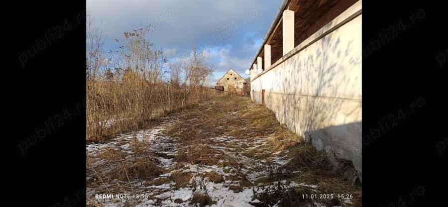 Vand casa la ?ara - 3