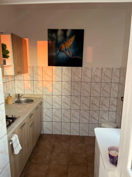 Garsooniera Butterfly - 5