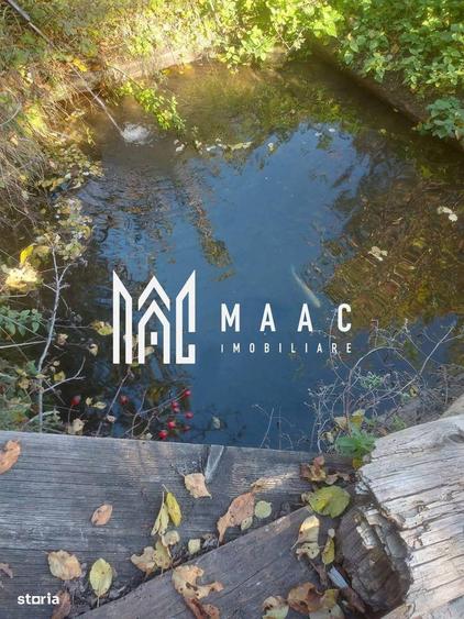 Super oferta 35000 teren in Muntii Apuseni - 2