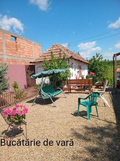 Casă cu panoramă la pădure, aproape de lacul de agrement - 12