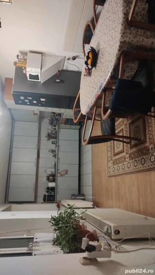 Casa Superba cu Piscina - 4