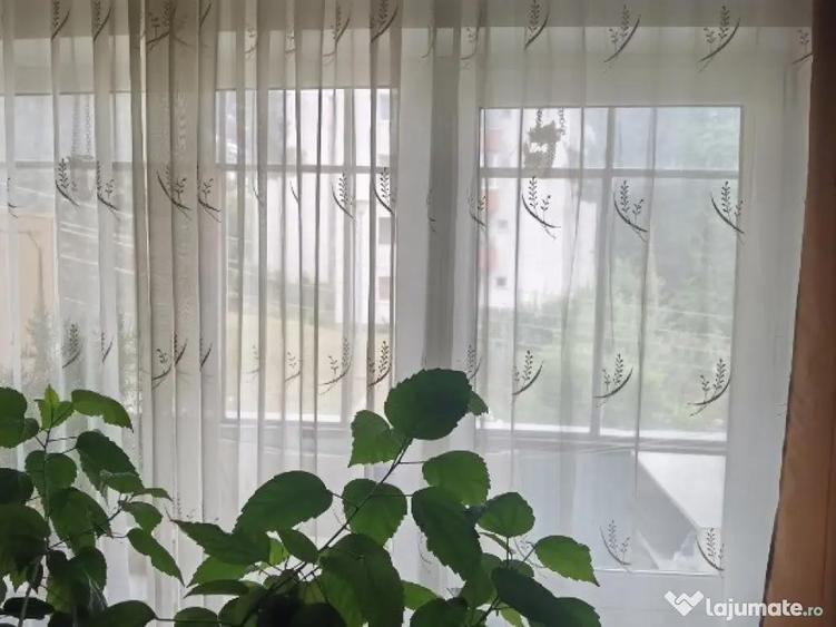 Apartament 2 camere zona Casa Piratilor-Manastur - 5