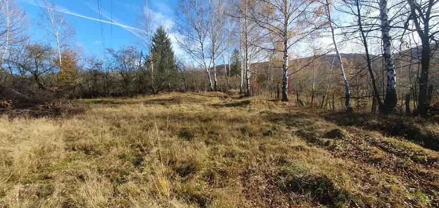 TERE la baza STAȚIUNII STRAJA - LUPENI - 4