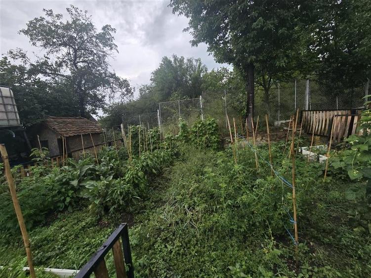 Casa De Lux  in Sinca Veche - 24