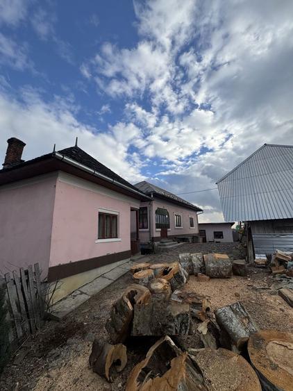 Vand case si teren Comuna Nucsoara Judetul Arges - 8