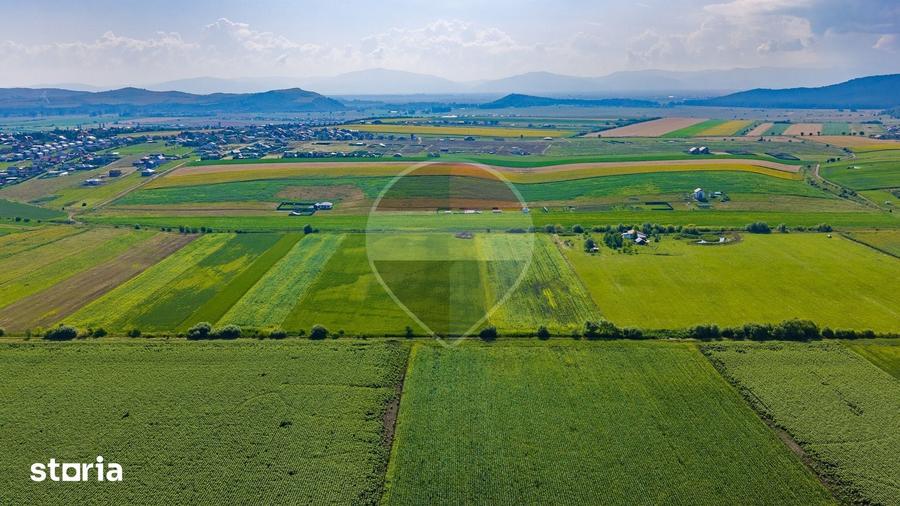 Teren de 606 mp, în Central