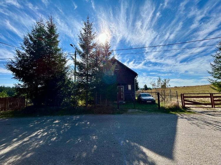 Vand cabana in Balcesti, Belis - 5