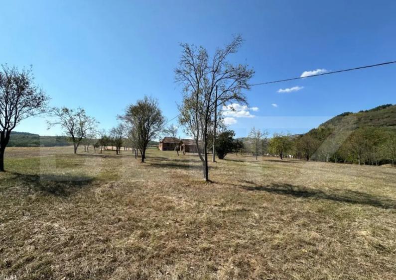 Teren intravilan de vanzare 14000mp,ideal pentru investitie, - 2