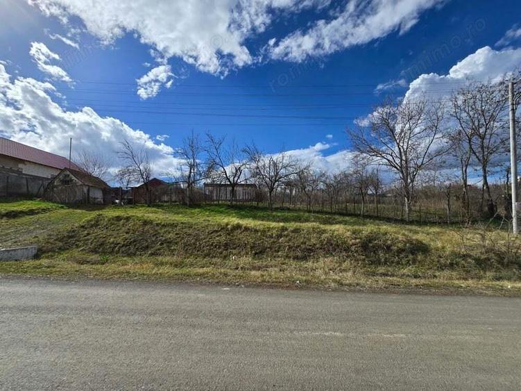 Herneacova-Casa si Teren-Livada- 2876 mp- Front 37m - 1