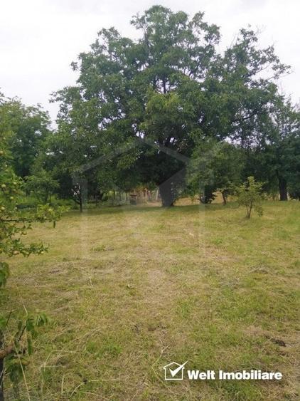 Casa individuala in Sancraiu (CJ), 4 camere, 160mp utili, 3400mp teren - 21