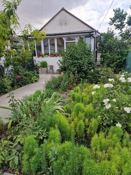 Casa cu suflet in centrul Medgidiei– gradina superba - 12