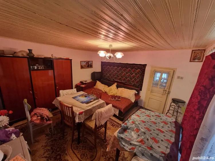 A 13. 20000 mp teren ?i 3 constructii casa in judetul Bacau - 15